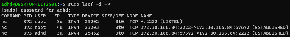 BHIS-SOCC-lab-LinuxCLI-1.png